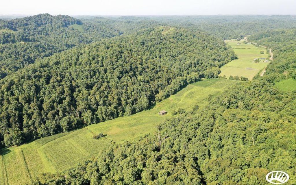 121.32 acres, Vincent, KY, Property ID 9733472 Land and Farm