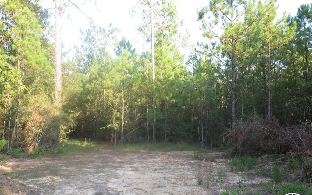 53 acres, Buckatunna, MS, Property ID 9977583 Land and Farm