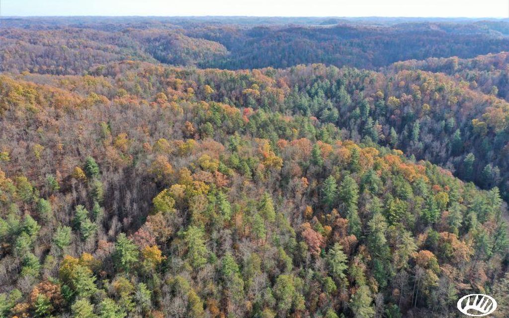 75 acres, Hazel Green, KY, Property ID 10109121 Land and Farm