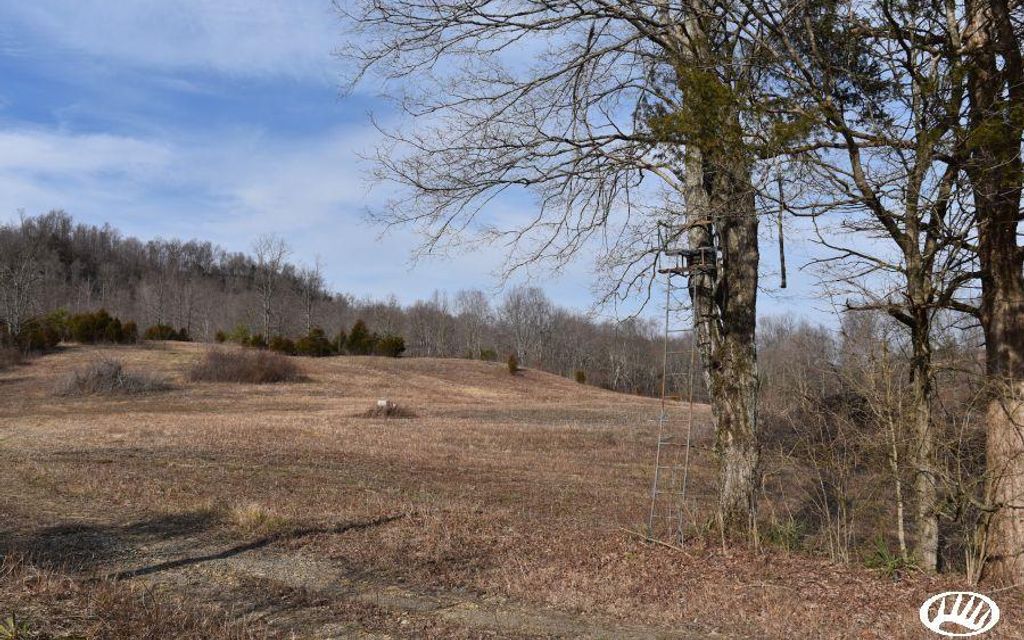 87.23 acres, Mitchellsburg, KY, Property ID 10399165 Land and Farm