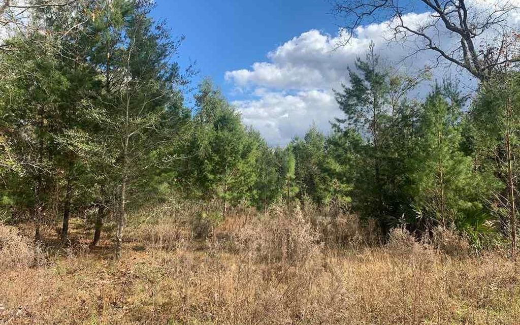 10 acres, Gainesville, FL, Property ID 10505862 Land and Farm