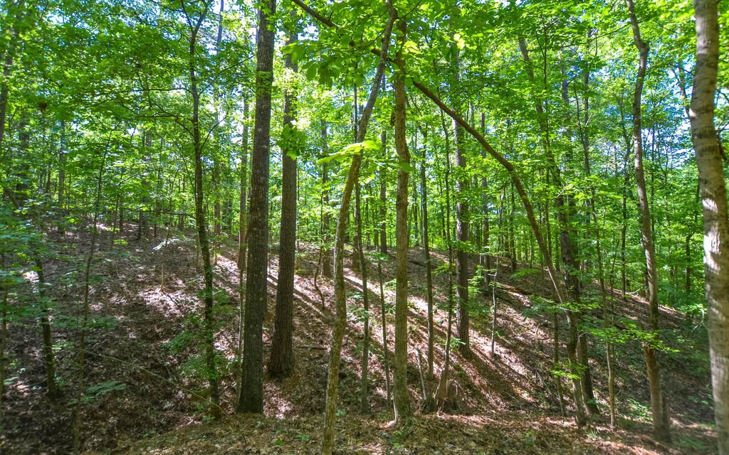 12.5 acres, Mount Enterprise, TX, Property ID 10518447 Land and Farm