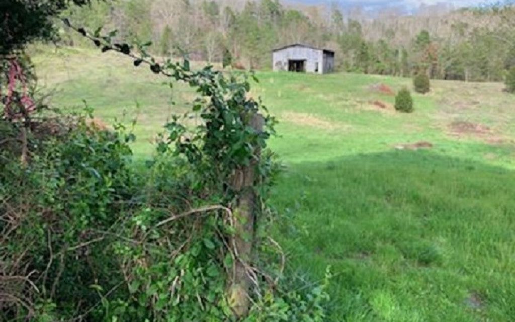 14.87 acres, Mooresburg, TN, Property ID 10536958 Land and Farm
