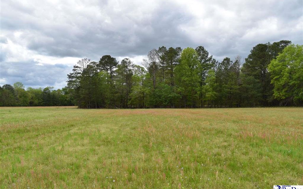 11.99 acres, Lamar, SC, Property ID 10543897 Land and Farm