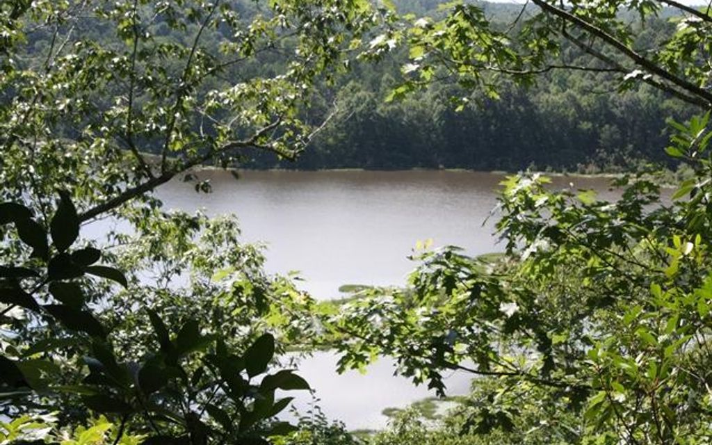 242.8 acres, Berry, AL, Property ID 4638625 Land and Farm