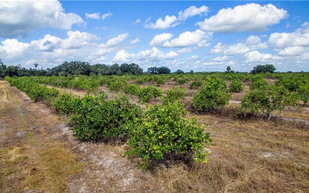 20 acres, Punta Gorda, FL, Property ID 10546910 Land and Farm