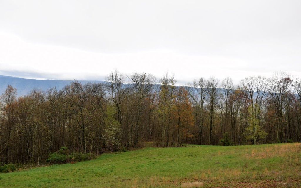 1012.49 acres, Narrows, VA, Property ID 10564064 Land and Farm