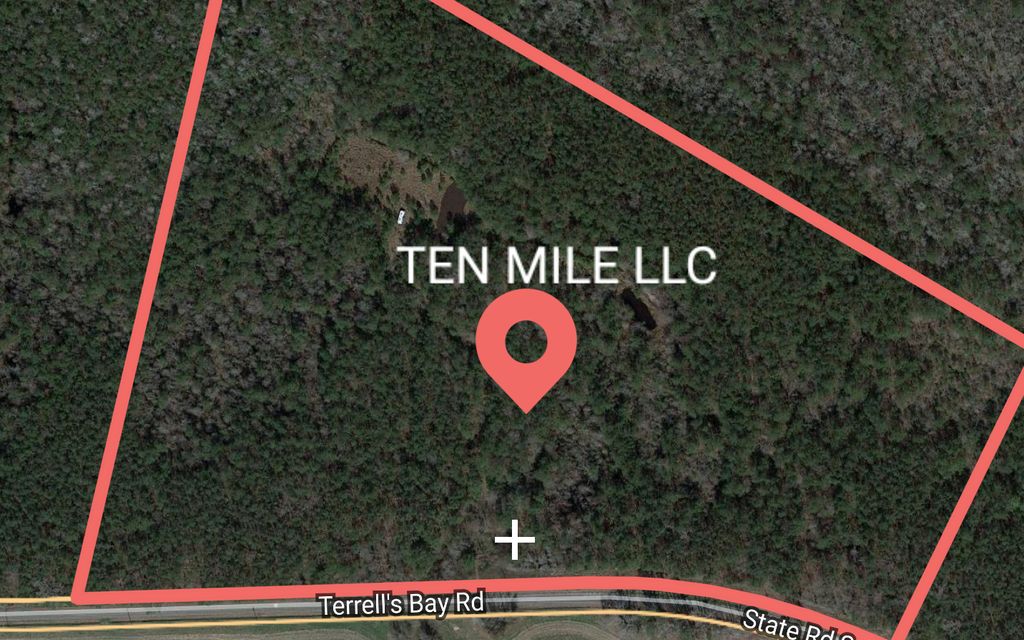 40.23 acres, Marion, SC, Property ID 10570126 Land and Farm