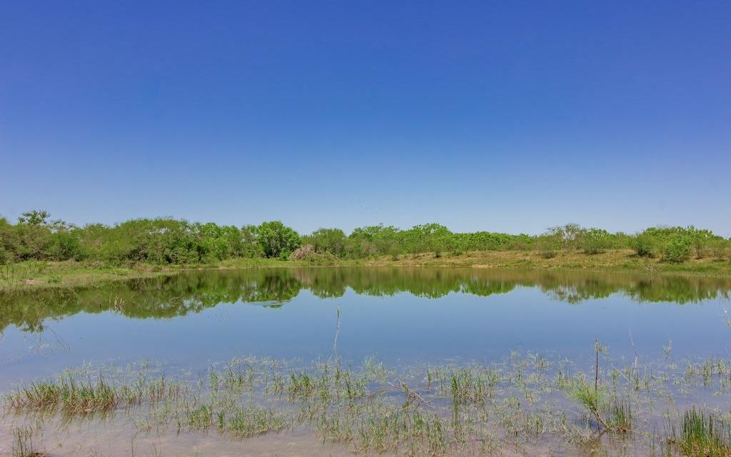 357.2 acres, Runge, TX, Property ID 10570687 Land and Farm