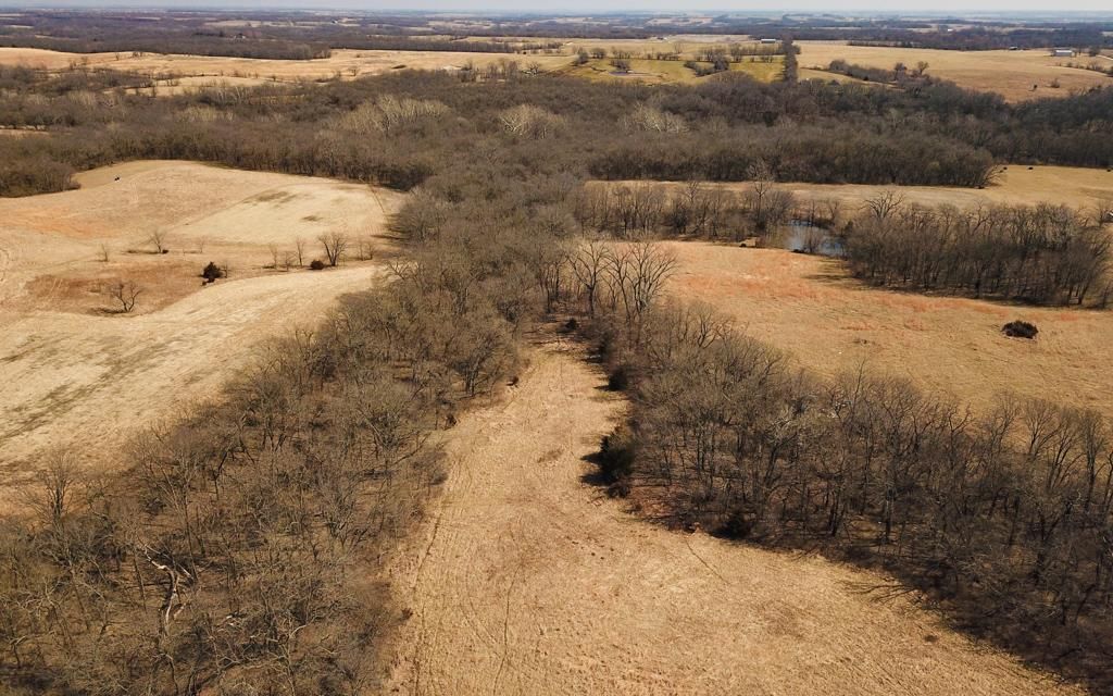 30 acres, Cowgill, MO, Property ID 10431706 Land and Farm