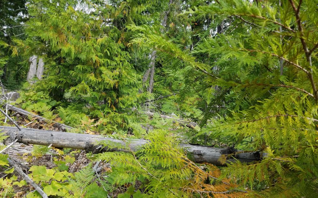 5 acres, Emida, ID, Property ID 10593243 Land and Farm