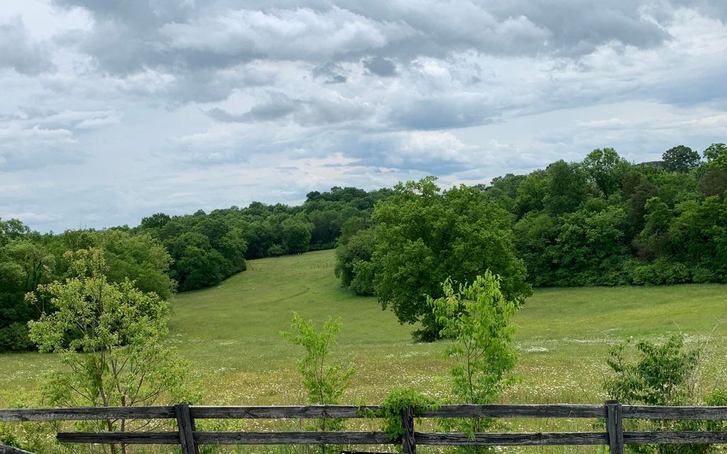 4.21 acres, Blaine, TN, Property ID 10602099 Land and Farm