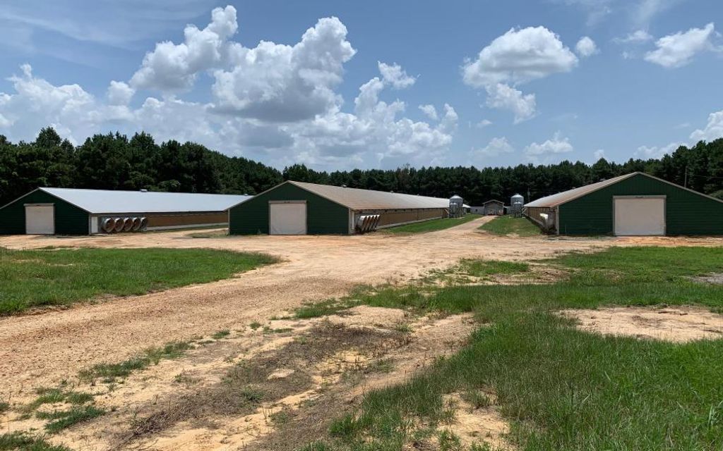 40 acres, Mize, MS, Property ID 10315528 Land and Farm