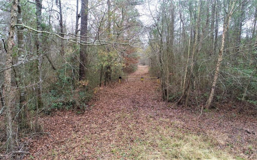 26 acres, Trenton, NC, Property ID 10208130 Land and Farm