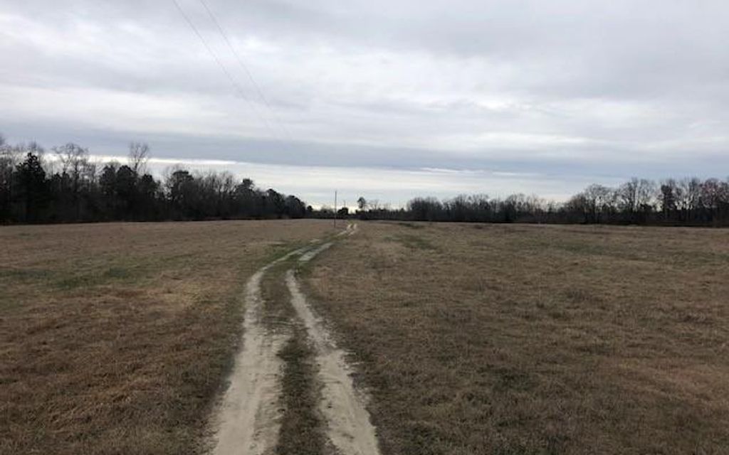 150 acres, Tarboro, NC, Property ID 10365373 Land and Farm