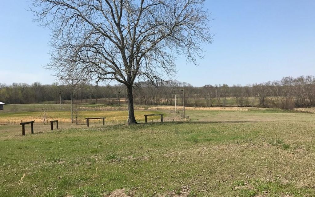 46.5 acres, Beaverton, AL, Property ID 7605742 Land and Farm