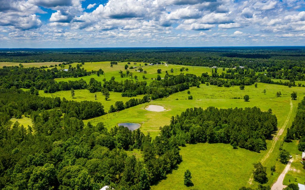 168 acres, Huntsville, TX, Property ID 8714321 Land and Farm