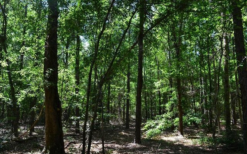 56 acres, Rentz, GA, Property ID 10677622 Land and Farm