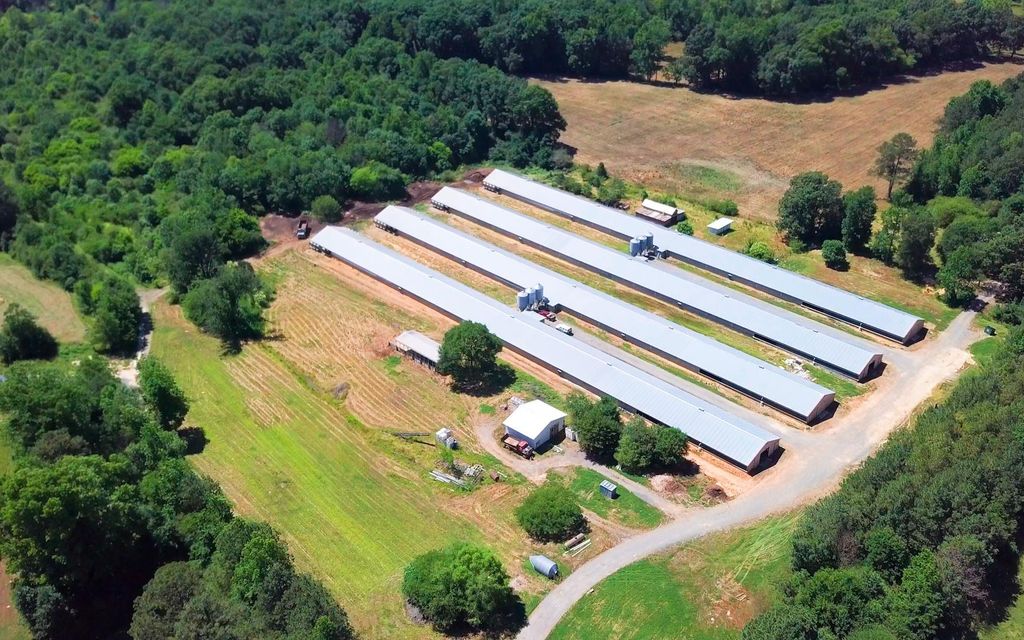 20 acres, Calhoun, GA, Property ID 10714412 Land and Farm