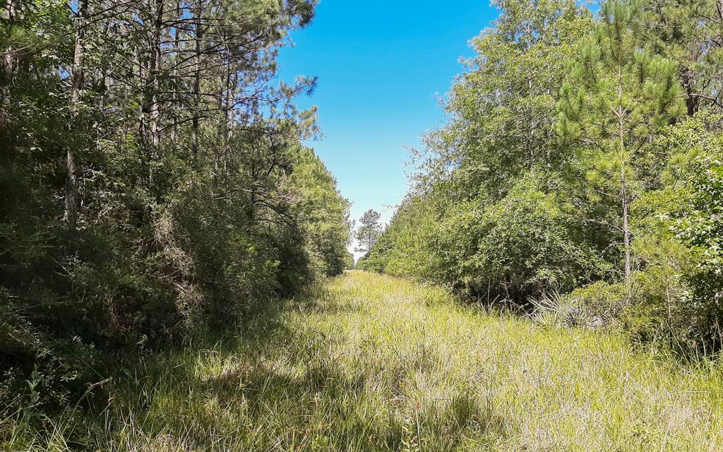 439.9 acres, Devers, TX, Property ID 10715974 Land and Farm