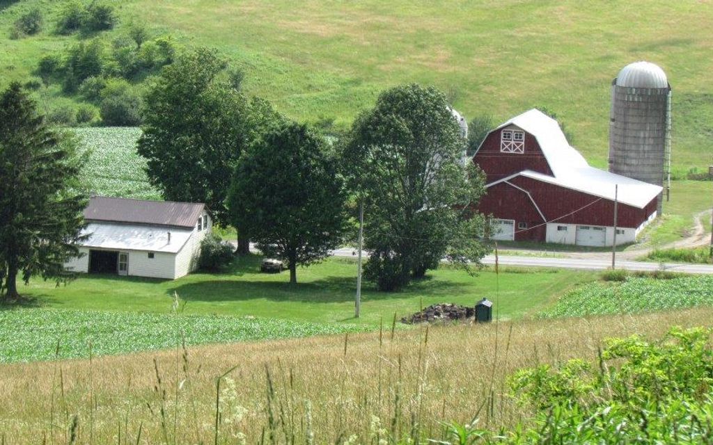 225 acres, Deruyter, NY, Property ID 10784424 Land and Farm