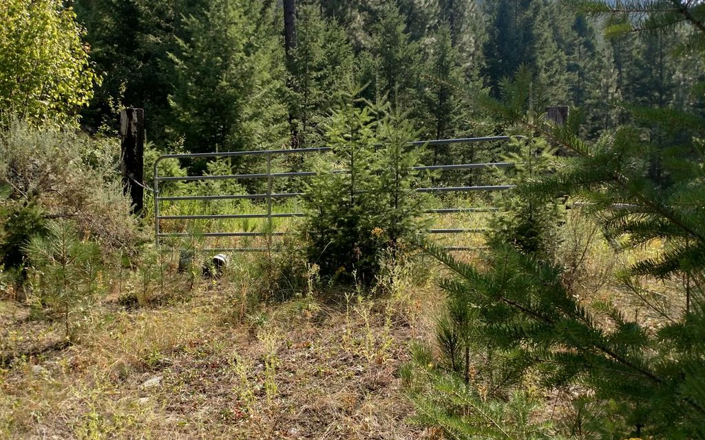 26.47 acres, Plains, MT, Property ID 10854833 Land and Farm