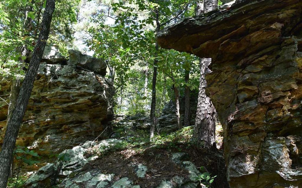 360 acres, Bradford, AR, Property ID 10913170 Land and Farm