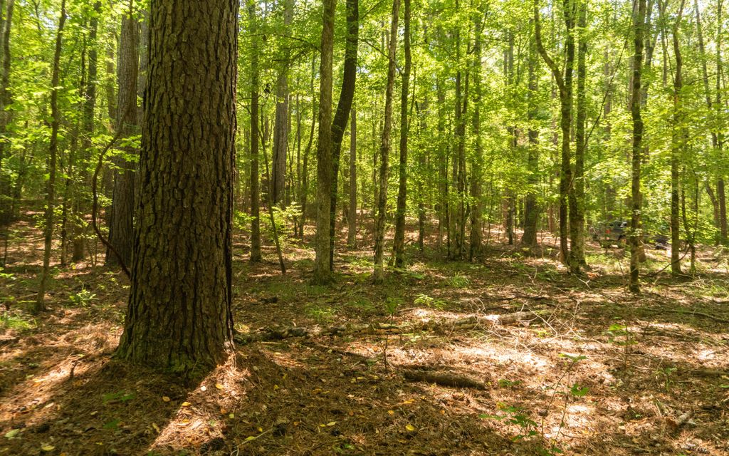 65 acres, Mount Enterprise, TX, Property ID 10959909 Land and Farm