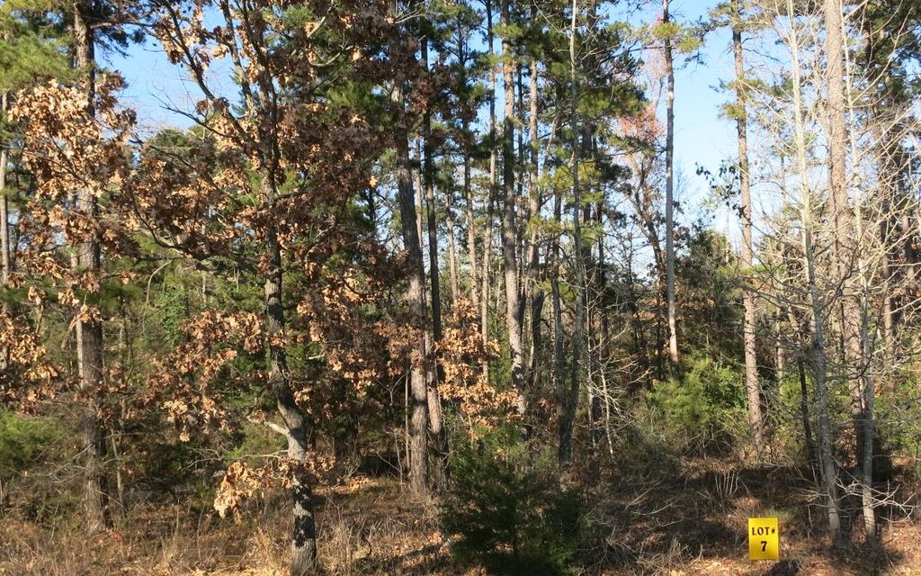 0.79 acres, Gladewater, TX, Property ID 11614100 Land and Farm