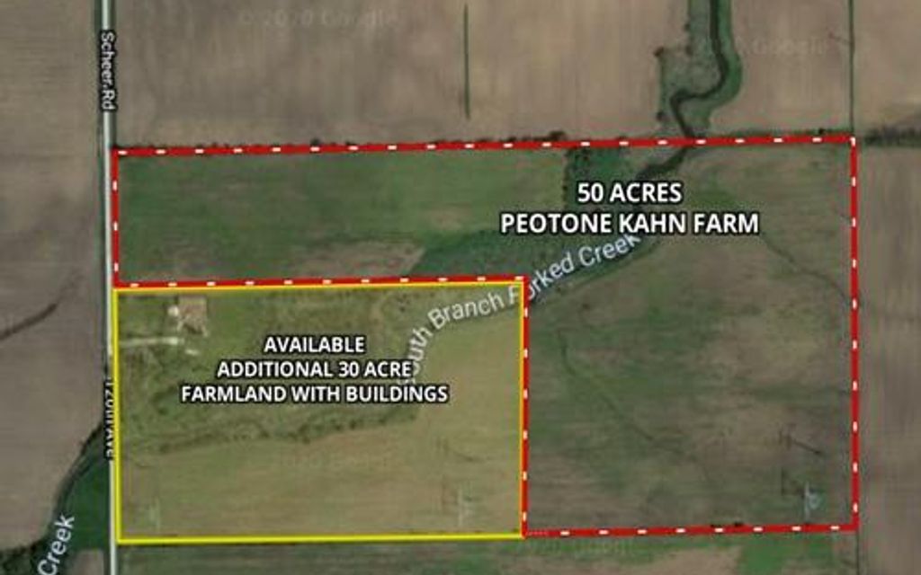 50 acres, Peotone, IL, Property ID 11706962 Land and Farm