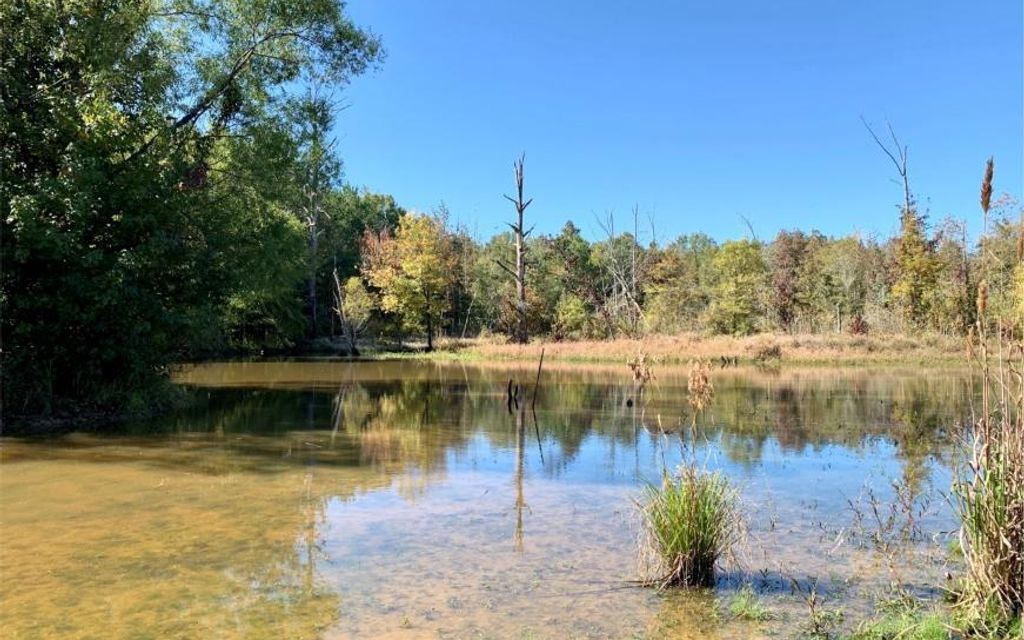 82 acres, Starkville, MS, Property ID 10093474 Land and Farm