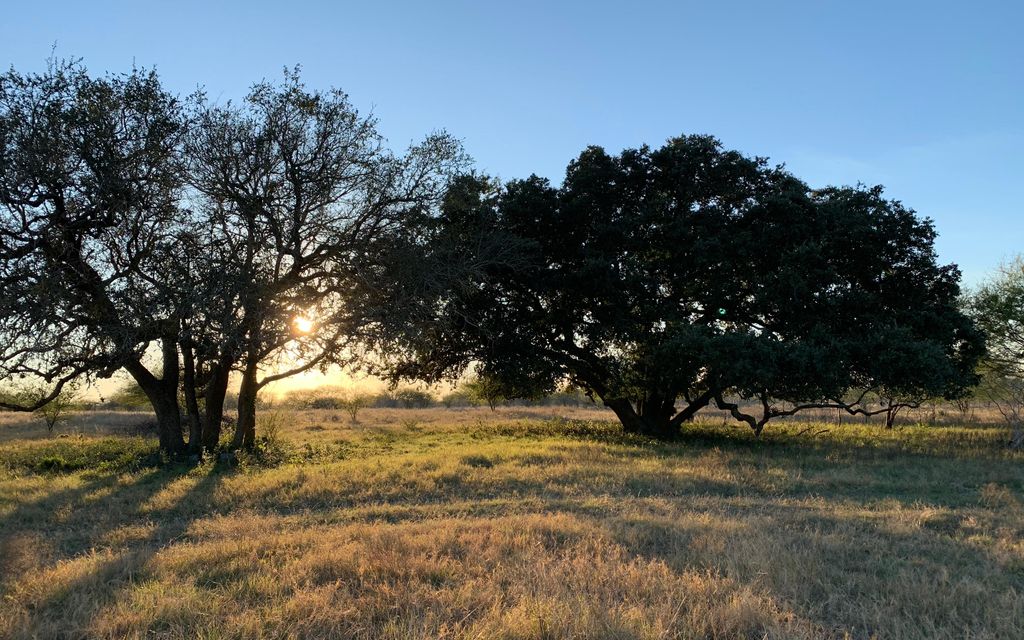 18.28 acres, Hobson, TX, Property ID 12196894 Land and Farm