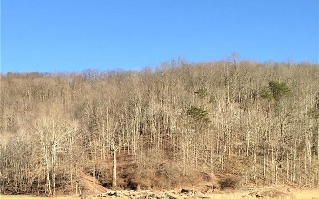 386.92 acres, Sandyville, WV, Property ID 12350934 Land and Farm