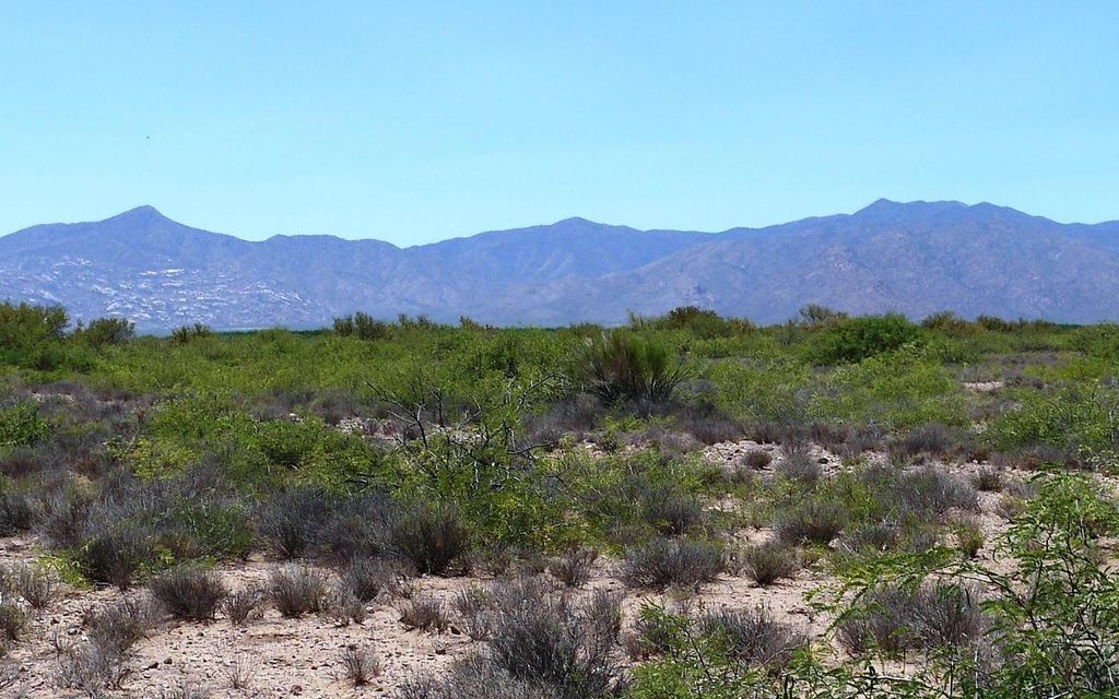 1.36 acres, Bowie, AZ, Property ID 12384414 Land and Farm