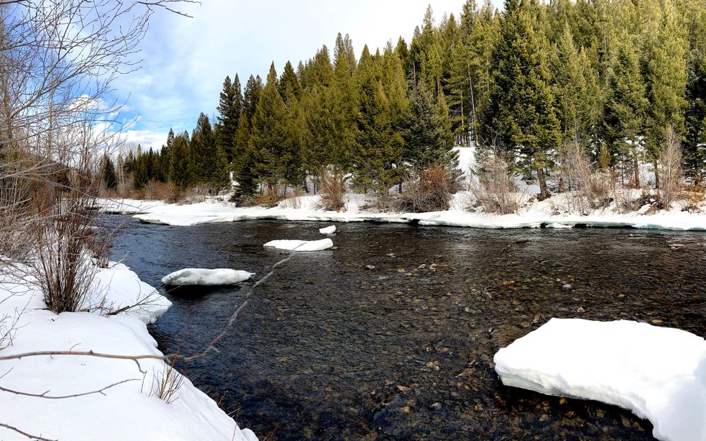 10 acres, Wise River, MT, Property ID 12741278 Land and Farm