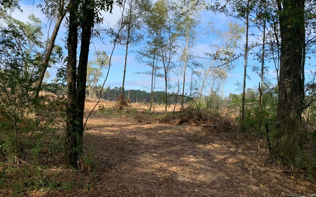 50.82 acres, MS, Property ID 12994529 Land and Farm