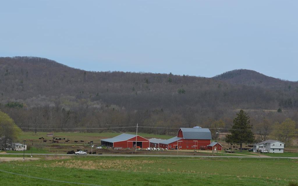 223.25 acres, Shinglehouse, PA, Property ID 13199264 Land and Farm