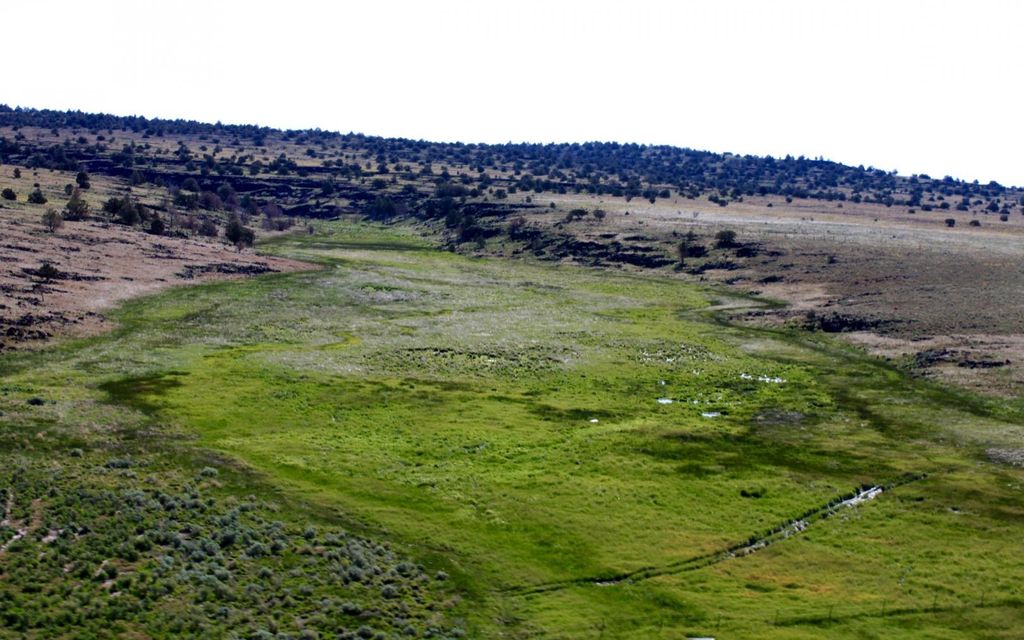 5000 acres, Ravendale, CA, Property ID 8667063 Land and Farm