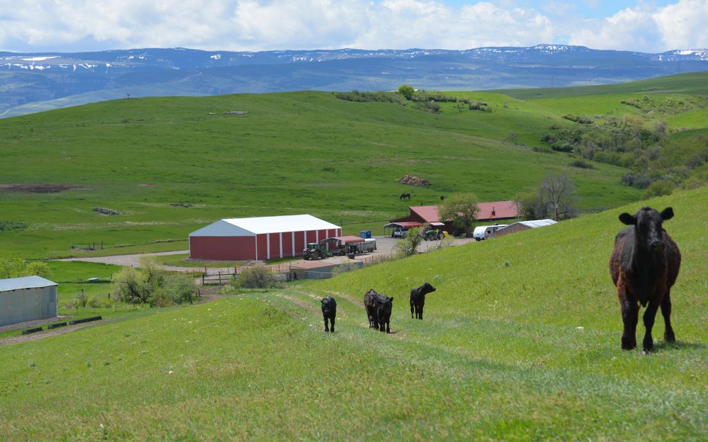 3669 acres, Lodge Grass, MT, Property ID 13777198 Land and Farm