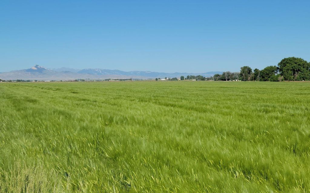 44 acres, Powell, WY, Property ID 8000620 Land and Farm