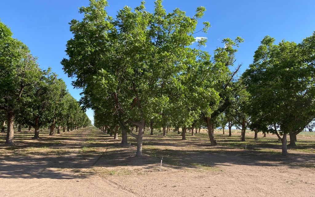 68 acres, Deming, NM, Property ID 13094818 Land and Farm