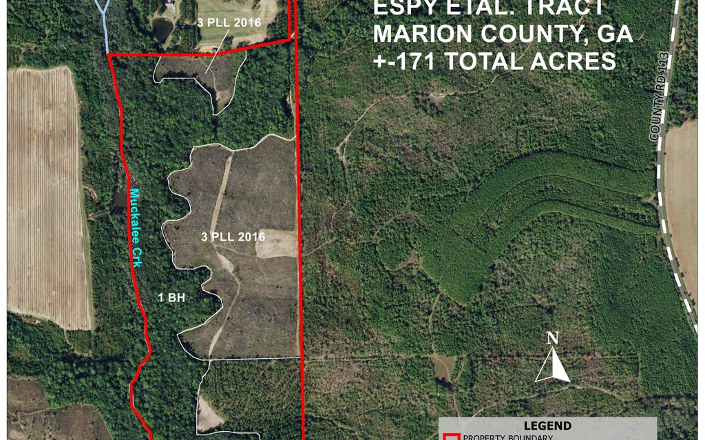 171 acres, Buena Vista, GA, Property ID 14522767 Land and Farm