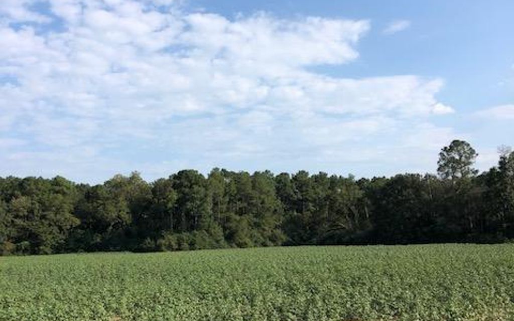 157 acres, Statesboro, GA, Property ID 14563286 Land and Farm