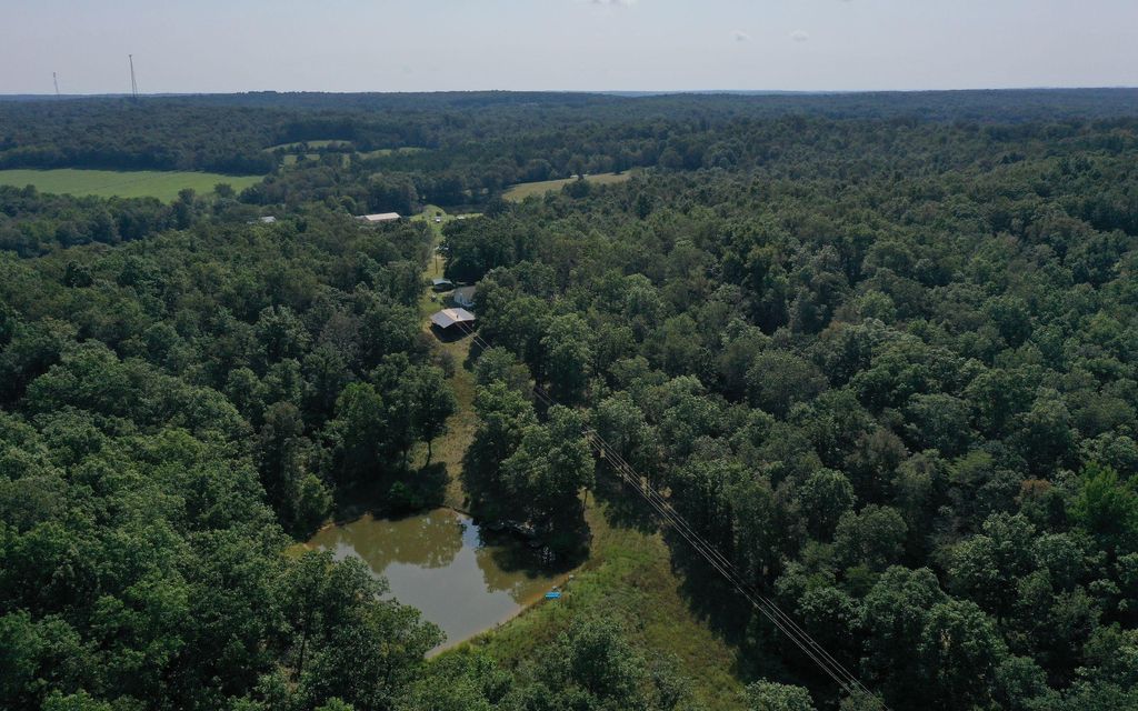 40 acres, Glen Allen, MO, Property ID 11547375 Land and Farm