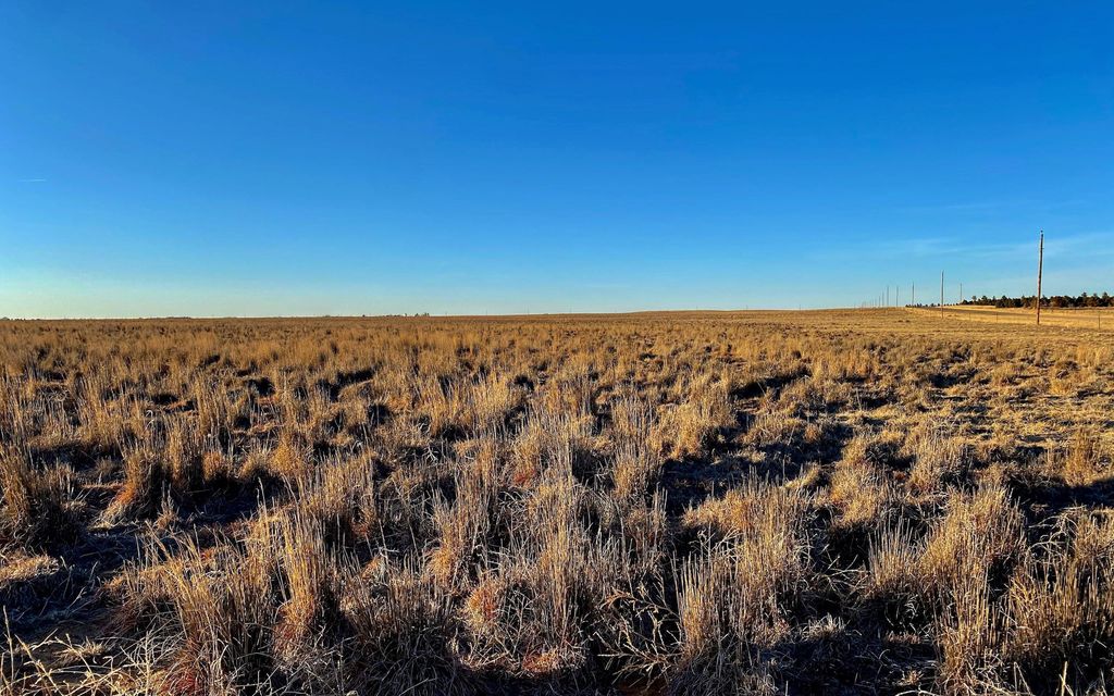 320 acres, Karval, CO, Property ID 15406949 Land and Farm