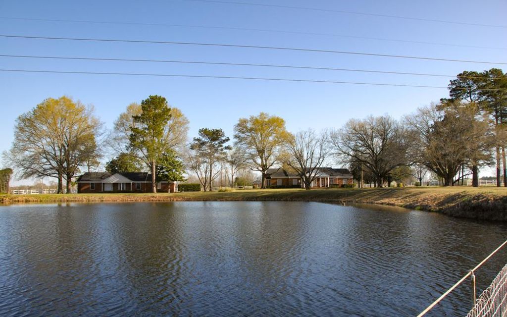 45 acres, Prattsville, AR, Property ID 16352609 Land and Farm