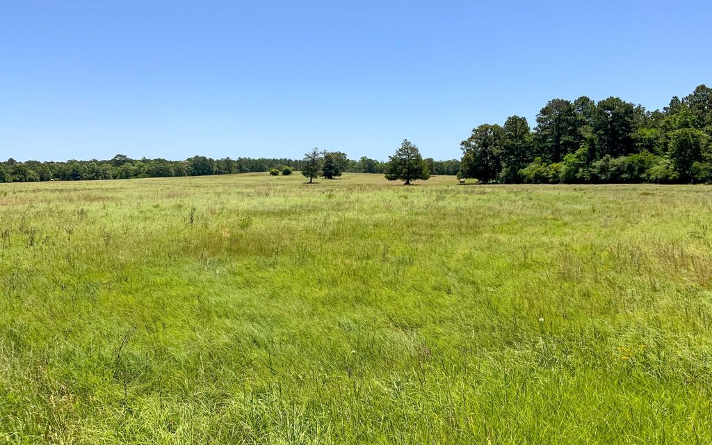 320 acres, Centerville, TX, Property ID 16859940 Land and Farm