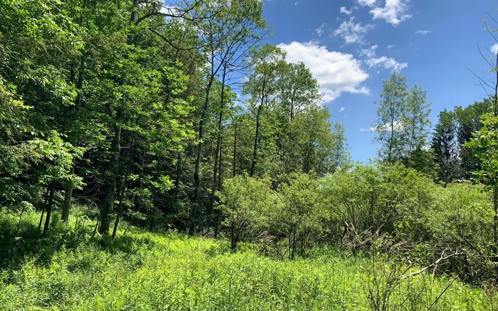 10.6 acres, Frankfort, NY, Property ID 17075725 Land and Farm