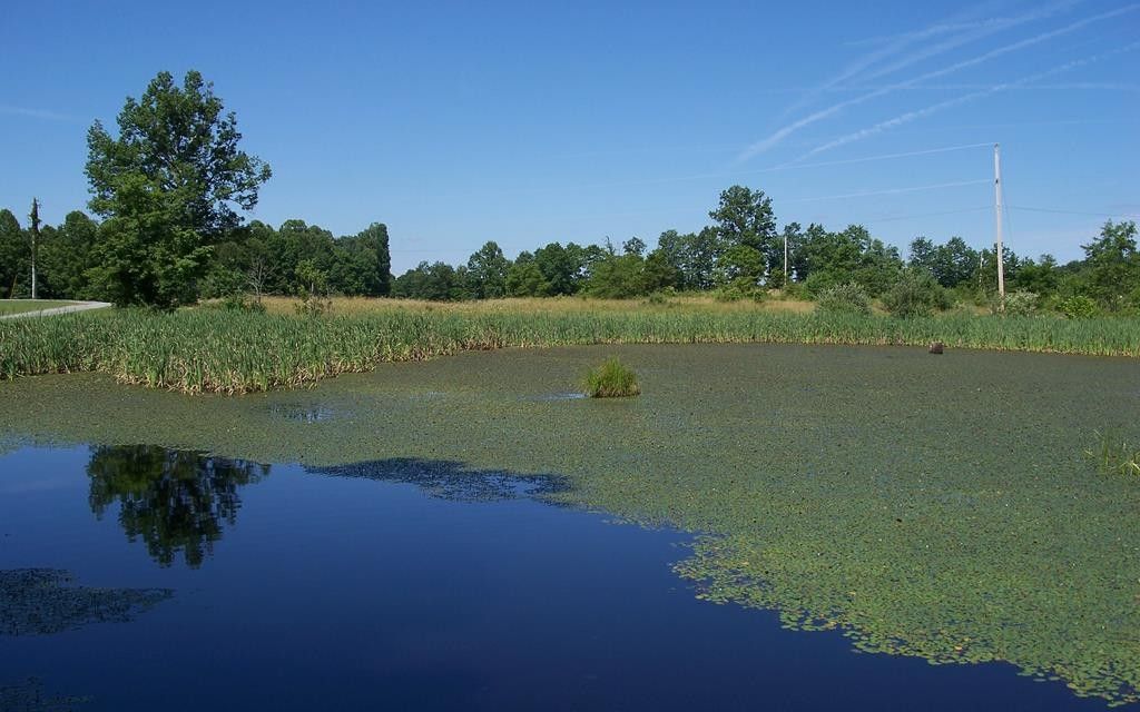 9.09 acres, Camp Creek, WV, Property ID 17194675 Land and Farm