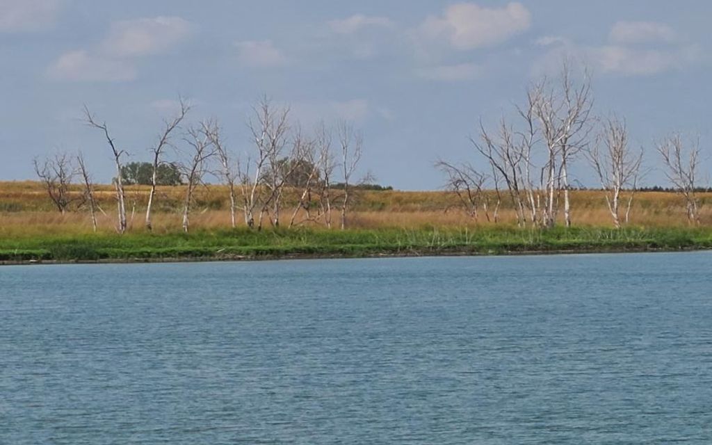 34.7 acres, Lake Andes, SD, Property ID 17221999 Land and Farm